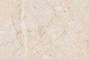 S63003 R6254 Light Marble